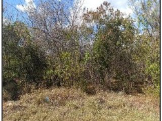 Imagem do imóvel TE10701