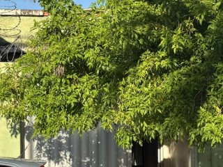 Imagem do imóvel CA18901